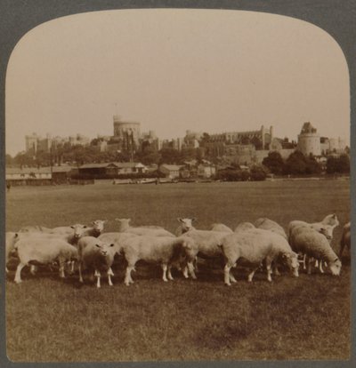General View Windsor Castle, England, 1896. av Unbekannt