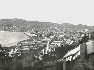 Allmän bild av staden, Wellington, Nya Zeeland, 1895. av Unbekannt