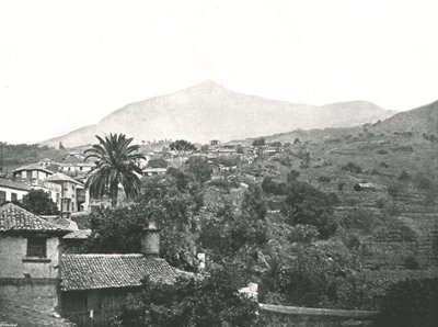 Allmän vy som visar toppen, Teneriffa, Kanarieöarna, Spanien, 1895. av Unbekannt
