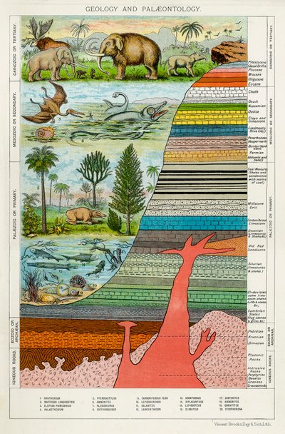 Geologi och paleontologi, c1880 av Unbekannt