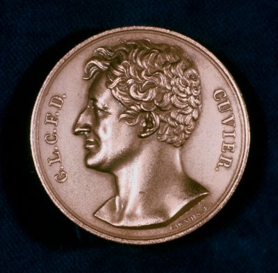 Georges Leopold Chretien Frederic Dagobert, Baron Cuvier, fransk anatom, 1800-talet av Unbekannt