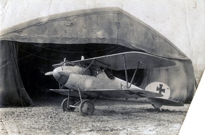 Tyska Albatros DV, Souilly, Frankrike, 2 januari 1918 av Unbekannt