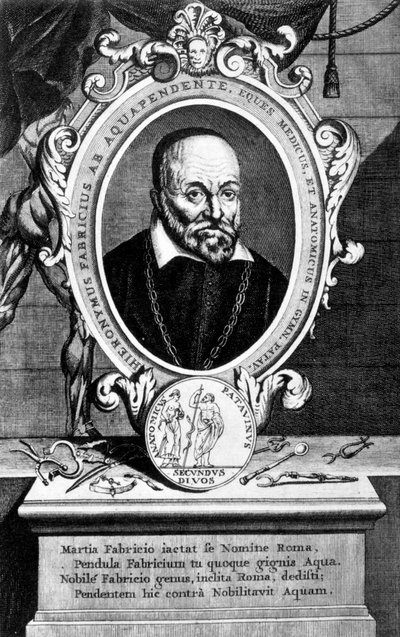Girolamo Fabrici, italiensk anatom och kirurg, 1600-talet av Unbekannt