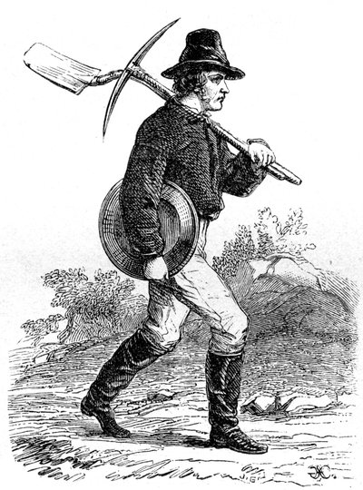 Gold Miner, Kalifornien, 1800-talet av Unbekannt