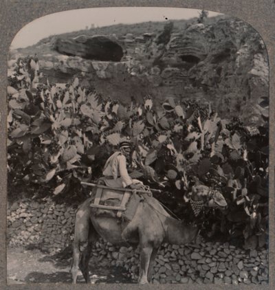 Golgata The Place of the Skull, c1900 av Unbekannt