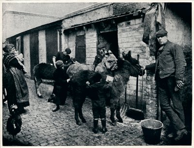 Grooming costers åsnor, London, c1903 1903 av Unbekannt