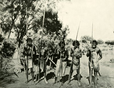 Grupp av aboriginalmän, Queensland, Australien, 1901. av Unbekannt