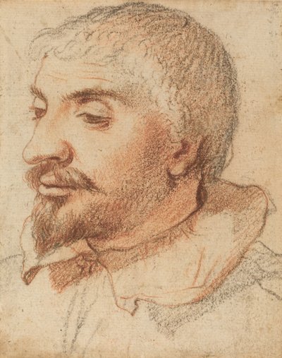 Head of a Man, ca. 1600. av Unbekannt