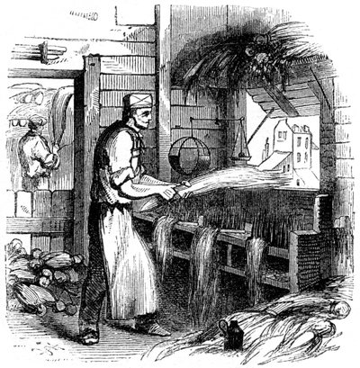 Häcklig hampa, 1866 av Unbekannt