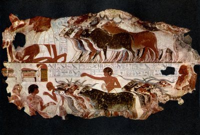 Boskapsbesättningar från tiden för den 18:e dynastin, Egypten, c1400 f.Kr. 1936 av Unbekannt