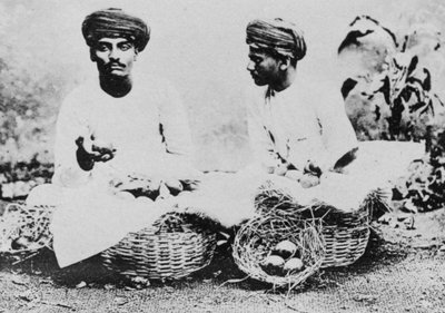 Hinduiska fruktförsäljare, Indien, 1900-talet av Unbekannt