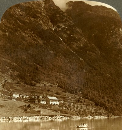 Hogrending gård, inbäddad vid fjällbasen, vid östkusten av sjön Loen, Norge, c1905. av Unbekannt