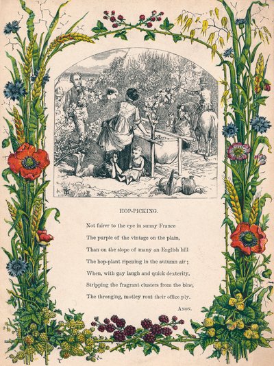 Humleplockning, c1900 av Unbekannt