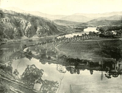 Humleträdgårdar i Tasmanien, 1901. av Unbekannt