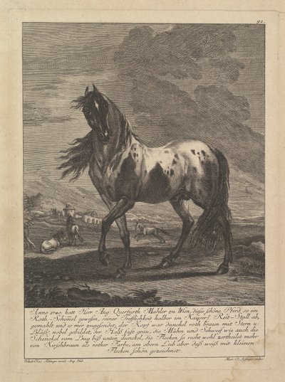 Häst, 1700-talet. av Unbekannt