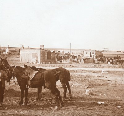Hästar, Somme-Tourbe, norra Frankrike, c1914-c1918 av Unbekannt