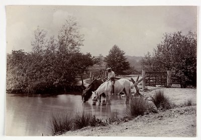 Hästar som dricker vid dammen, vers 1890 av Unbekannt