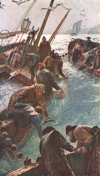 How We Catch the Pilchards, 1895, c1902. av Unbekannt