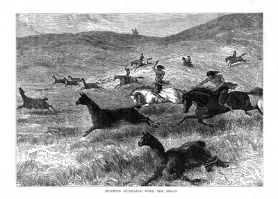 Jagar Guanacos med Bolas, Sydamerika, 1877 av Unbekannt