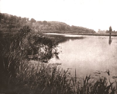 Hurley Reach, Themsen mellan Bisham och Medmenham, Buckinghamshire, 1894. av Unbekannt