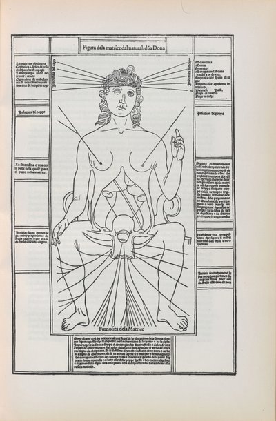 Illustration från Fasciculo di medicina av Johannes de Ketham, 1493. av Unbekannt