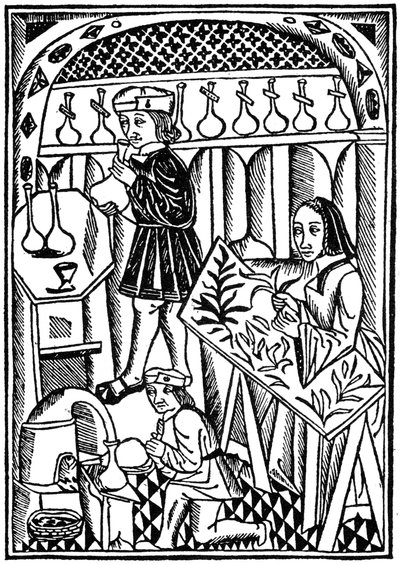 Illustration från The Owner of Things, 1500 1964 av Unbekannt