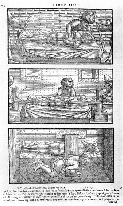 Illustration från Avicenna, 1556 av Unbekannt