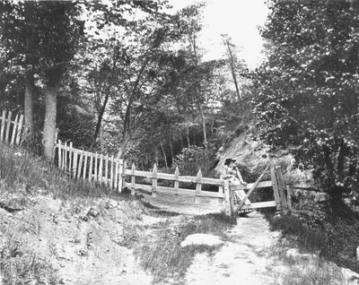 I Berkshire Hills, Massachusetts, USA, c1900. av Unbekannt