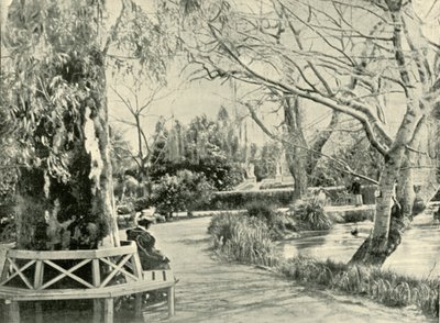I den botaniska trädgården, Adelaide, 1901. av Unbekannt