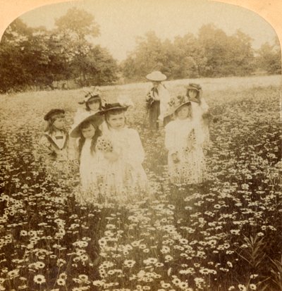 In the Daisy Field: Sweet Flowret of the Rural Glade, 1896. av Unbekannt