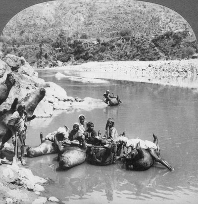 Uppblåsta tjurskinn som används som färjor på Sutlejfloden, Punjab, Indien, c1900-talet av Unbekannt