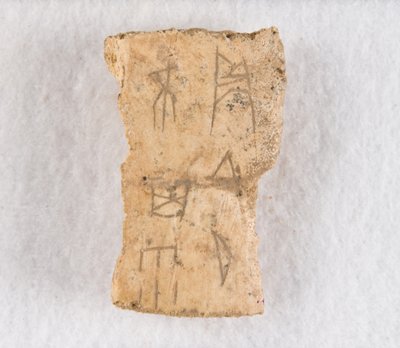 Orakelben av inskrivet benfragment, Late Shang-dynastin, ca. 1300-1050 f.Kr. av Unbekannt