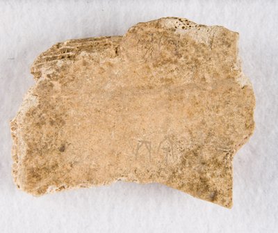 Orakelben av inskrivet benfragment, Late Shang-dynastin, ca. 1300-1050 f.Kr. av Unbekannt