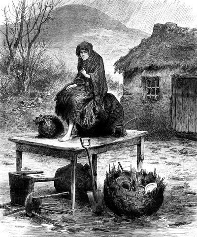 Irländsk bondflicka som vaktar familjens sista ägodelar, 1886 av Unbekannt