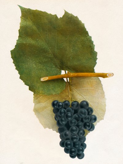 Panzerschiff von Unbekannt