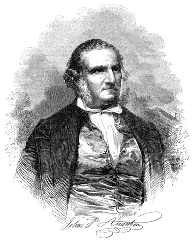 John James Audubon 1780-1851, amerikansk ornitolog och konstnär, 1852 av Unbekannt