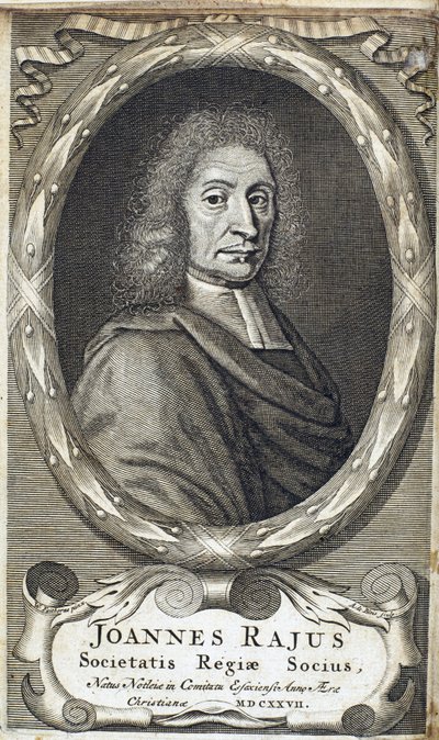 John Ray (Wray), engelsk naturforskare, ca 1700 av Unbekannt