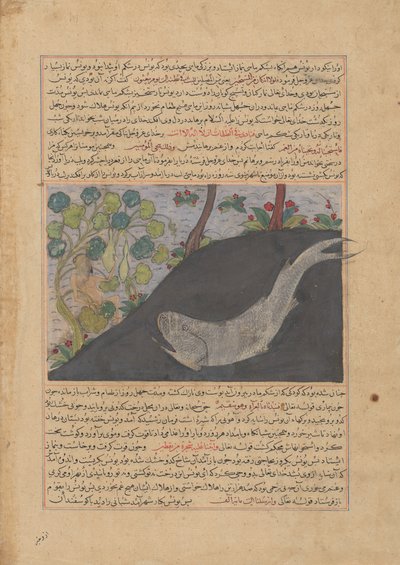 Jonah and the Whale, Folio från ett Majma