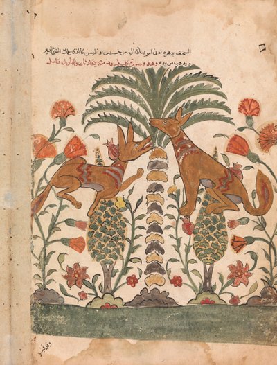 Kalila Upbraiding Dimna, Folio från en Kalila wa Dimna, 1700-tal. av Unbekannt