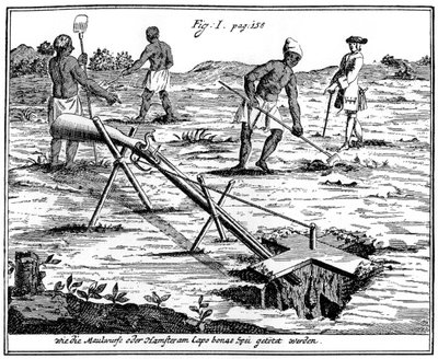 Khoikhois fångar mullvadar, Sydafrika, 1700-talet 1931 av Unbekannt