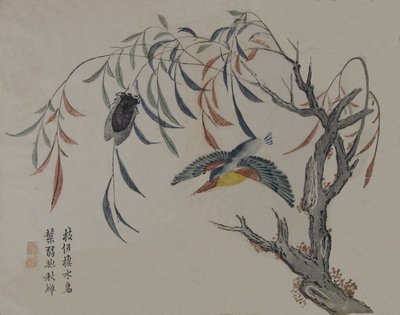 Kingfisher, Cicada och Willow Tree, 1800-talet. av Unbekannt