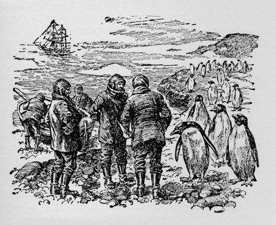 Landade på en liten ö bebodd av myriader av pingviner, c1918 av Unbekannt