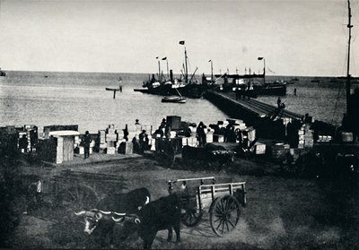 Landningsplats, Punta Arenas, 1911 av Unbekannt