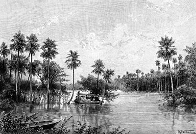 Las Palmes Lagunas, nära mynningen av Pilcomayo, 1895 av Unbekannt