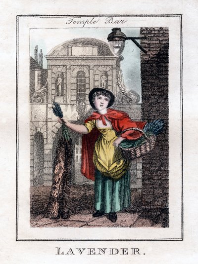 Lavendel, Temple Bar, London, 1805 av Unbekannt