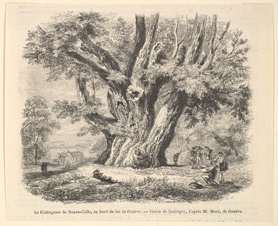 Kastanjen i Neuve-Celle, vid Genèvesjöns strand, efter Daubigny, 1835-78. av Unbekannt