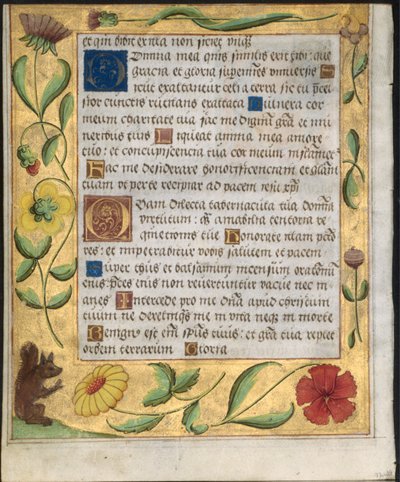 Blad från en psaltare och bönbok: Ornamental Border with Flowers and Squirrel verso, ca. 1524. av Unbekannt