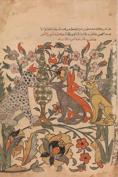 Leopard med lejonorder till domare, Folio 51 recto från en Kalila wa Dimna, 1700-tal. av Unbekannt