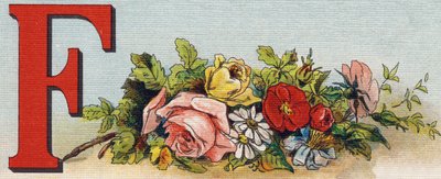 Bokstaven F: blommor. Gravyr i "Alphabet de ma petite fille". Bernardin-Bechet och Fils, bokhandlare-förlag, Paris, omkring 1895. Okrossbart album på duk. Bibliotheque des Bebes. 12 sidor. Album innehållande en läsmetod och en illustrativ abeced av Unbekannt