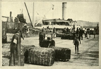 Lastar en last av bomull, c1948. av Unbekannt